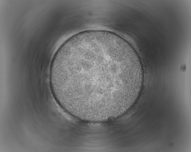 X0000111131231200907211106