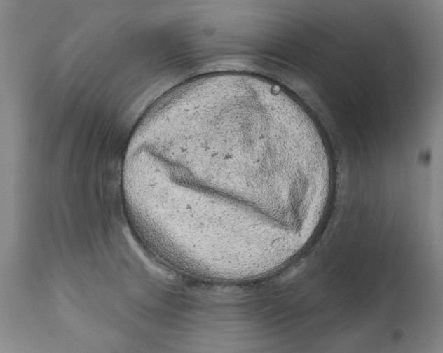 X0000111131233200907211106