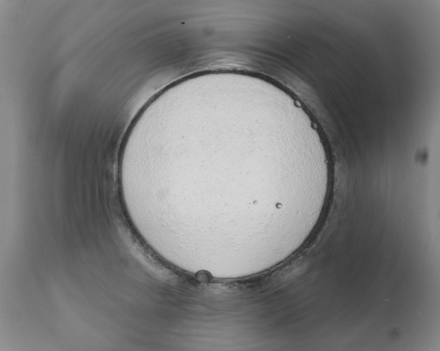 X0000111131234200907211106