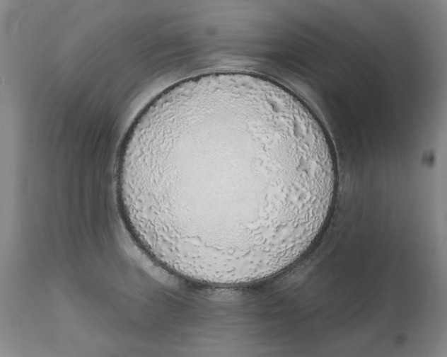 X0000111131235200907211106