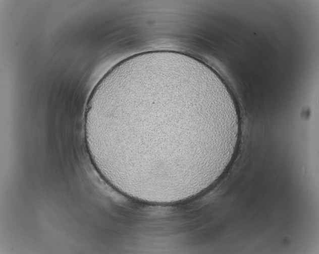 X0000111131236200907211106