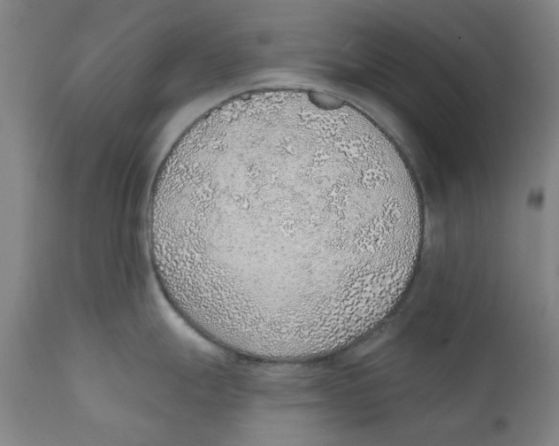 X0000111131247200907211106