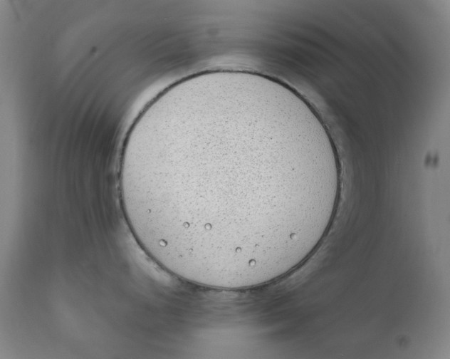 X0000111131248200907211106