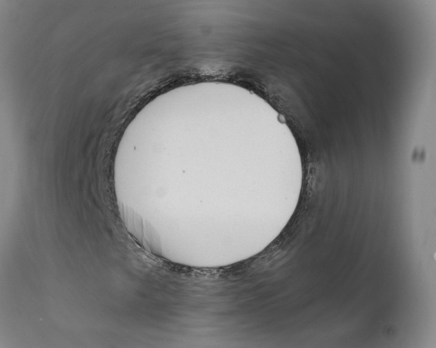 X0000111131249200907211105