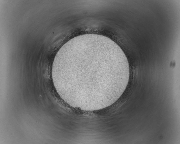 X0000111131250200907211105