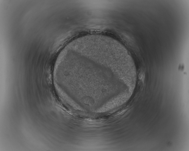X0000111131252200907211105