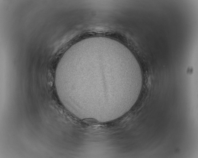 X0000111131253200907211105