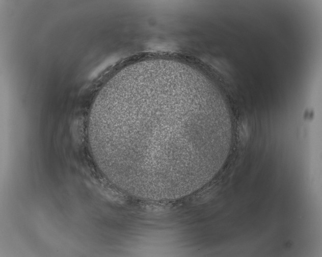 X0000111131254200907211105