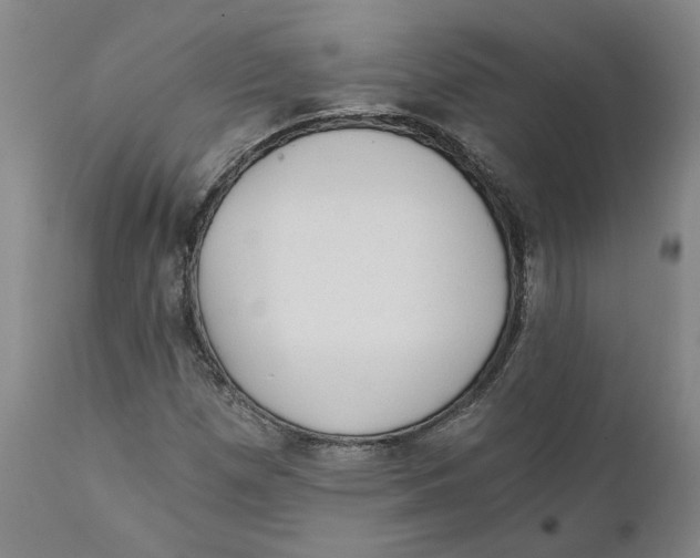 X0000111131257200907211105