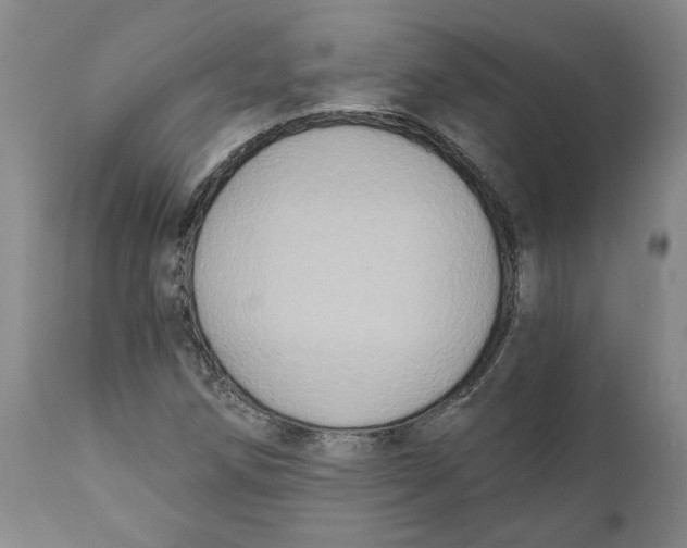 X0000111131258200907211105