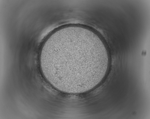 X0000111131263200907211105