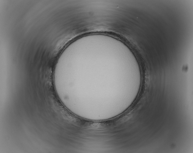 X0000111131265200907211105