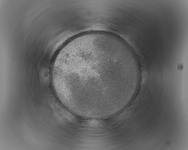 X0000111131266200907211105
