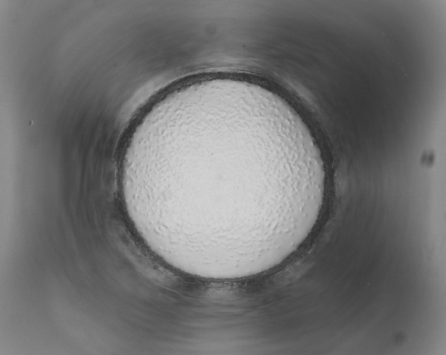 X0000111131267200907211105