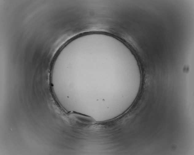 X0000111131268200907211105