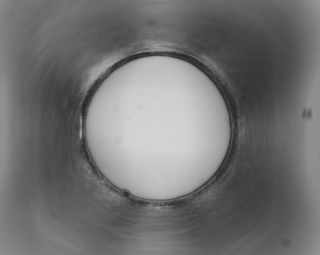 X0000111131269200907211105