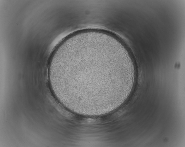 X0000111131271200907211105