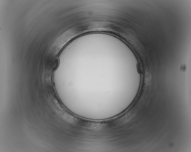 X0000111131273200907211105