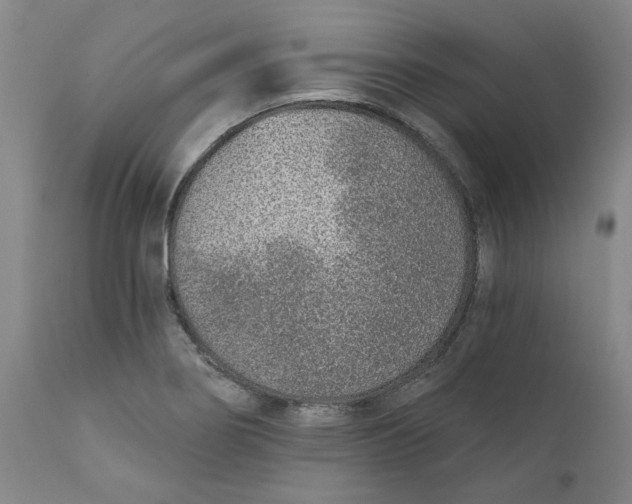X0000111131274200907211105