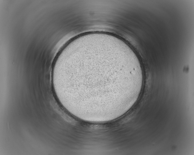 X0000111131275200907211105