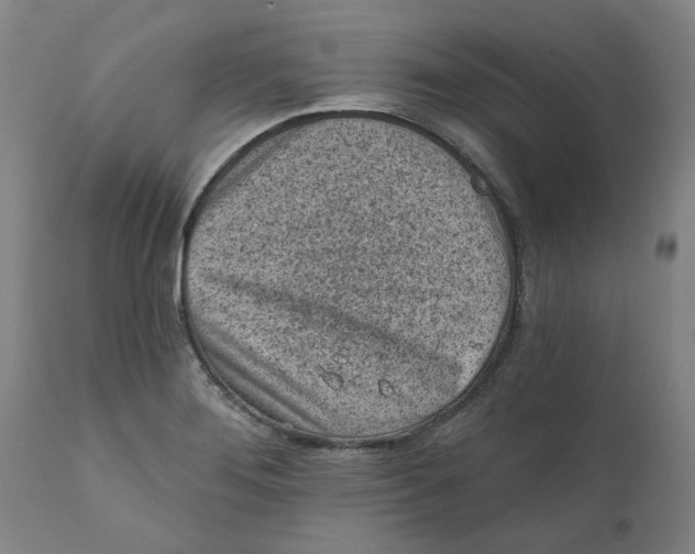 X0000111131276200907211105