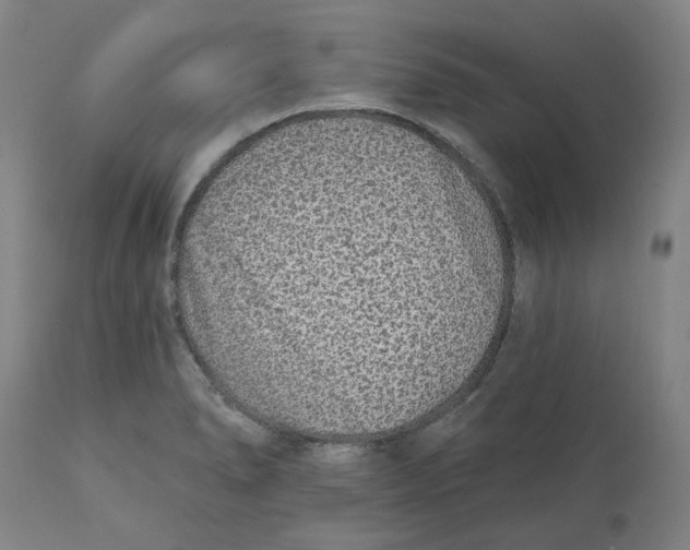 X0000111131278200907211105