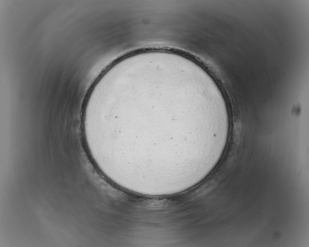 X0000111131279200907211105