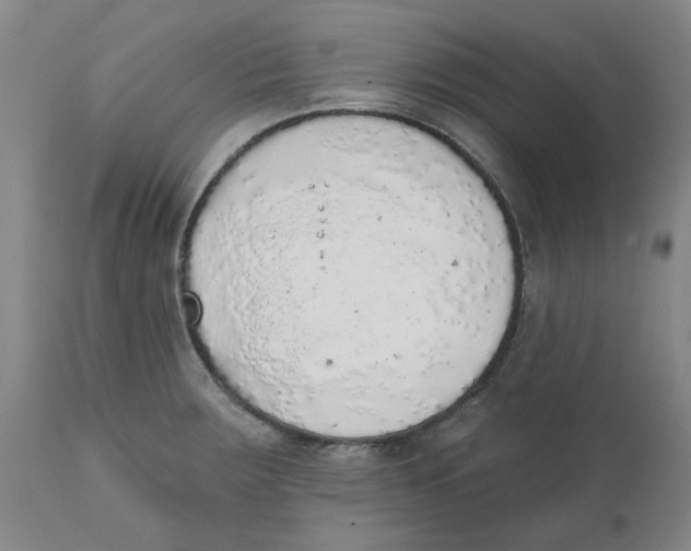 X0000111131283200907211105