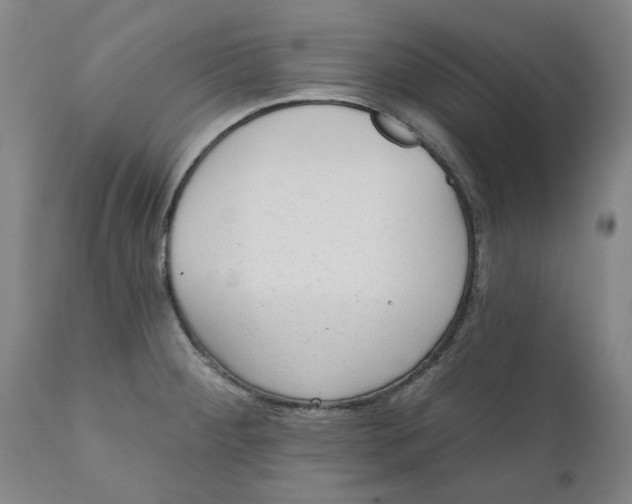 X0000111131284200907211105