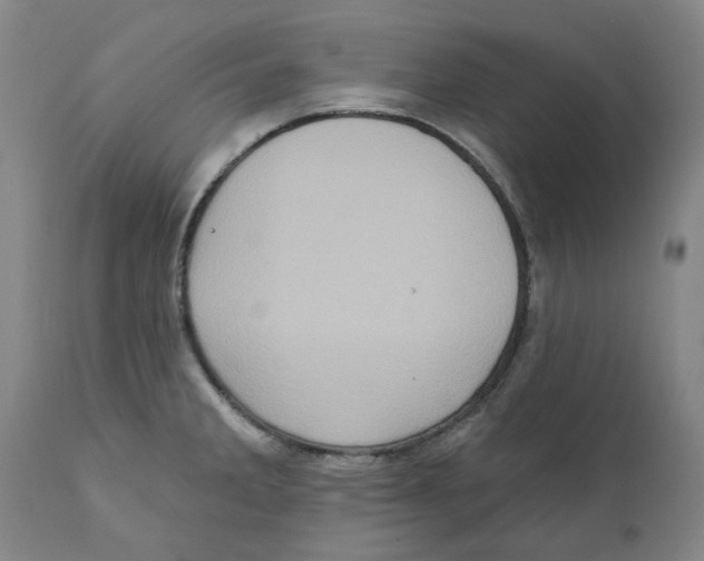 X0000111131285200907211105