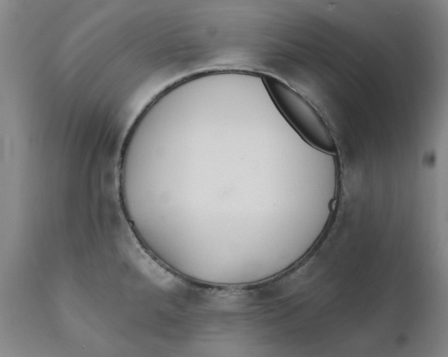 X0000111131288200907211105