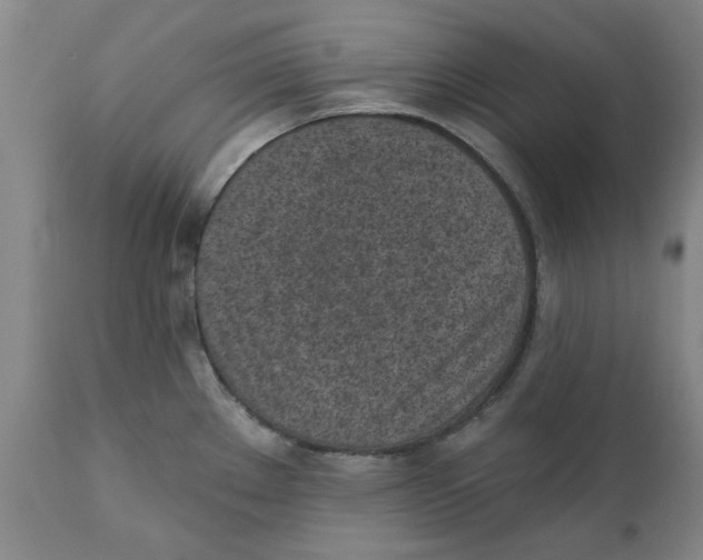 X0000111131289200907211105