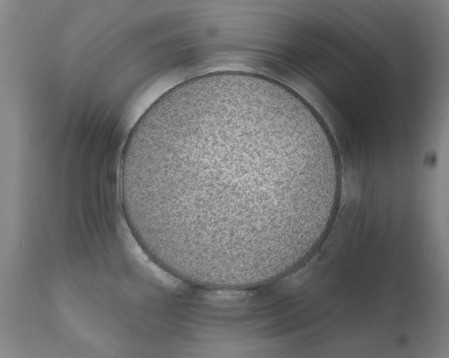X0000111131290200907211105