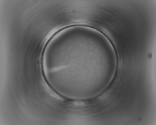 X0000111131291200907211105