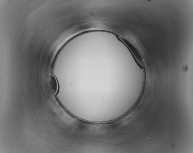 X0000111131292200907211105