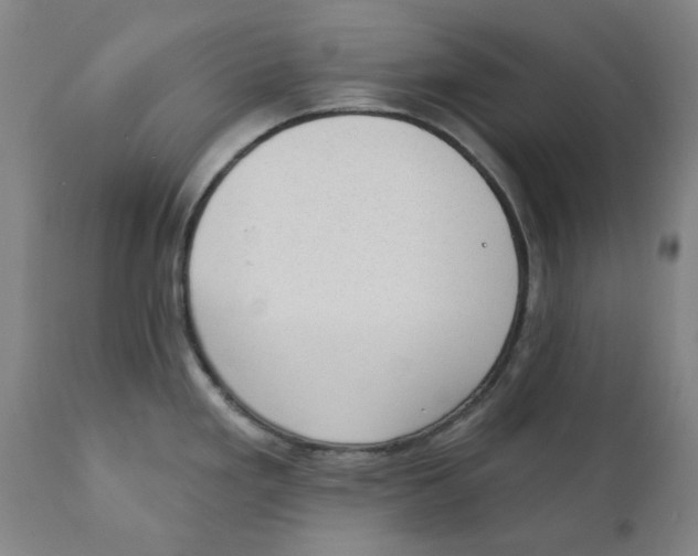 X0000111131293200907211105