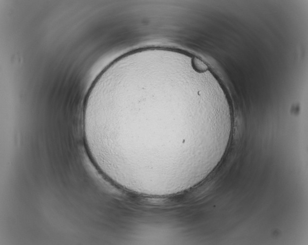 X0000111131295200907211105