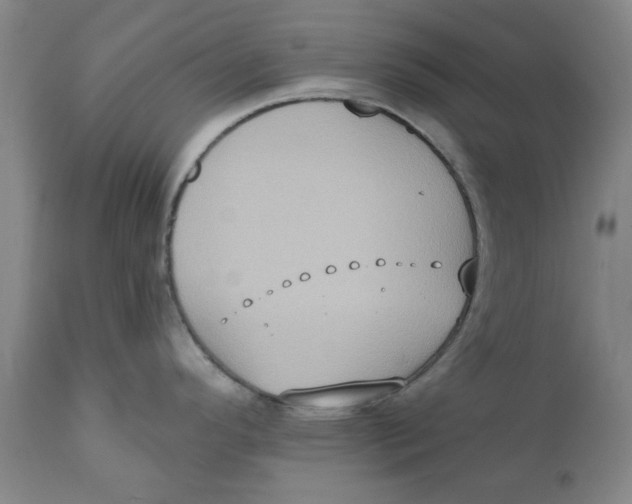 X0000111131296200907211105