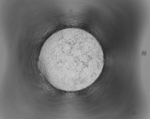 X0000111131297200907211104