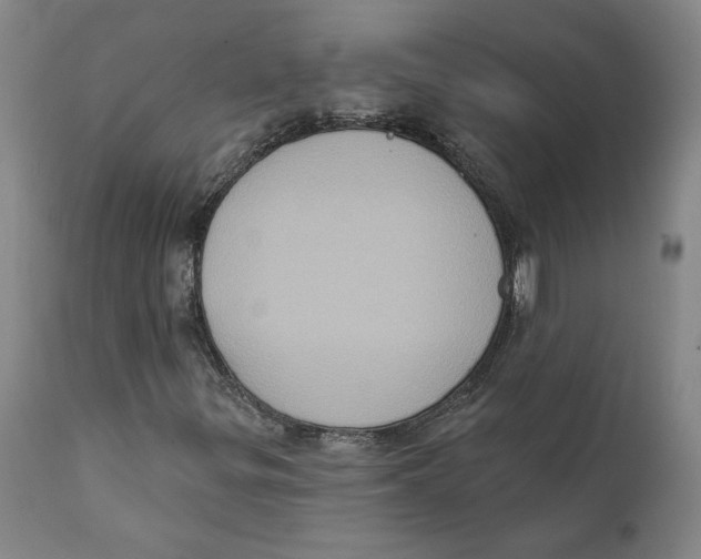 X0000111131299200907211104