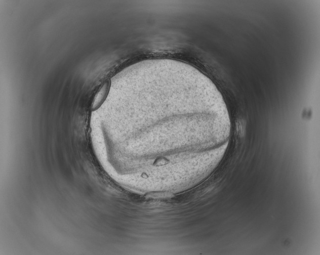 X0000111131300200907211104