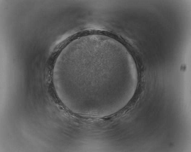 X0000111131303200907211104
