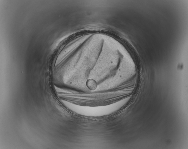 X0000111131304200907211104