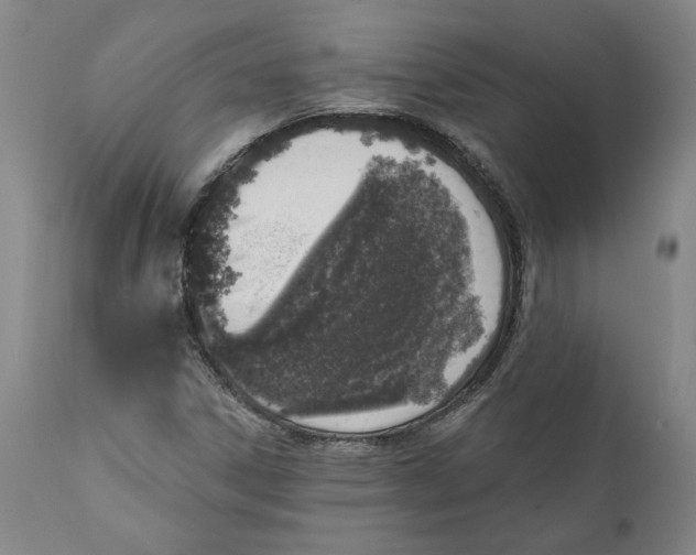 X0000111131306200907211104