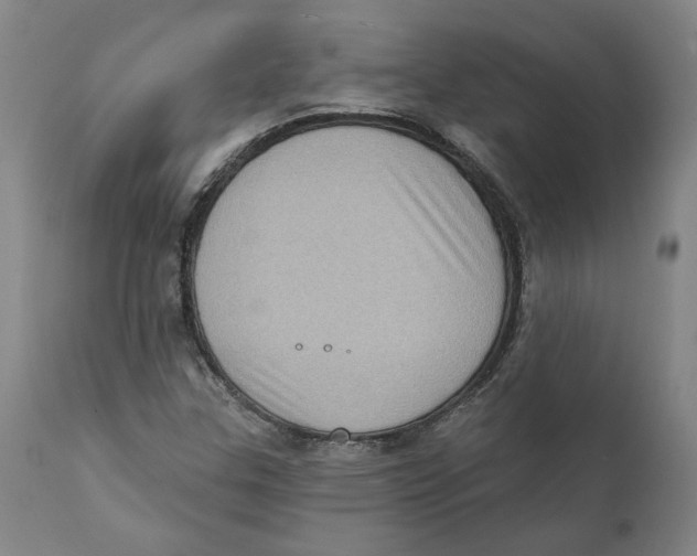 X0000111131307200907211104