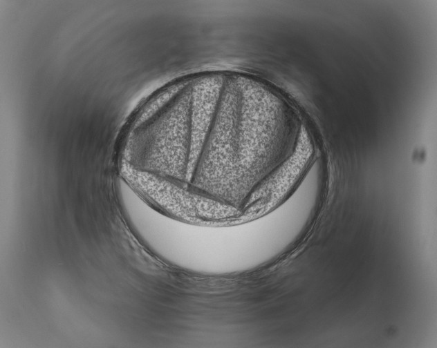 X0000111131308200907211104