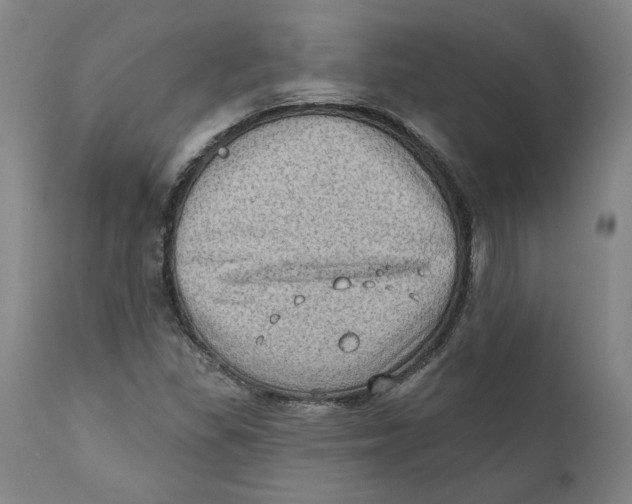 X0000111131309200907211104