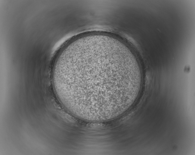 X0000111131310200907211104