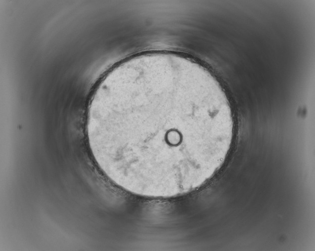 X0000111131314200907211104