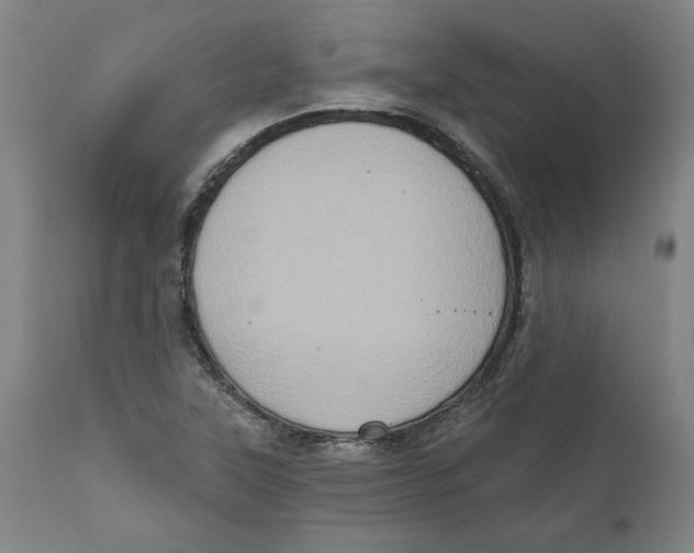 X0000111131315200907211104